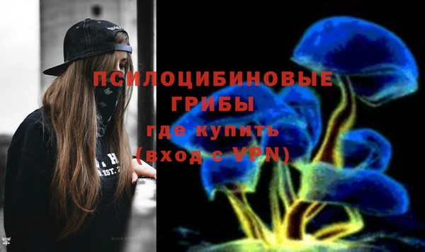 ПСИЛОЦИБИНОВЫЕ ГРИБЫ Верхнеуральск