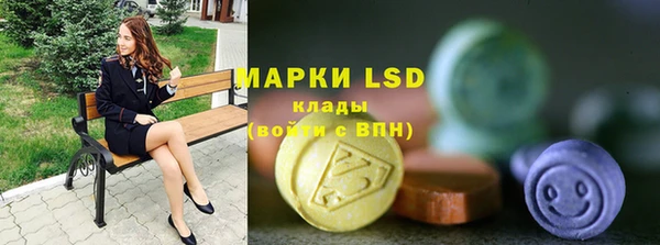 ПСИЛОЦИБИНОВЫЕ ГРИБЫ Верхнеуральск