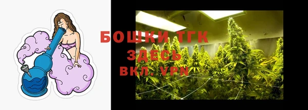 гашик Верхний Тагил
