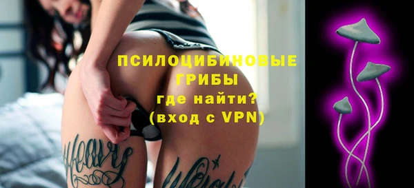 ПСИЛОЦИБИНОВЫЕ ГРИБЫ Верхнеуральск