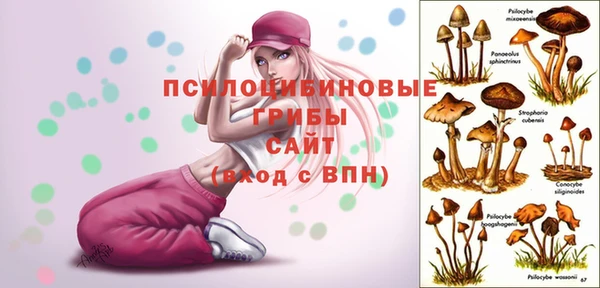 кокаин премиум Верея