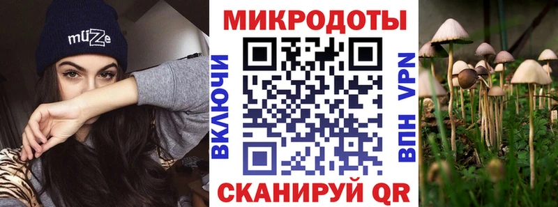 Купить где  Нягань  Псилоцибиновые грибы Psilocybine cubensis 